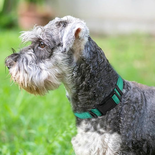 Joytale Reflective Dog Collar, Soft Neoprene Padded, Metal D-Ring, Nylon Pet Collar Adjustable for Small Dogs, Teal, S