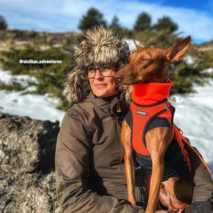 Best Pet Supplies Voyager Step-in Air Harness - All Weather Mesh, Reflective, No Pull Harness for Dogs, Cats - Secure with Hook & Loop Fastener, Buckle, Double D-Rings - Orange/Black Trim, XXS