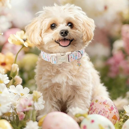 Easter Dog Collar for Puppy Small Dogs - Pastel Easter Bunny Collars for Female Dogs, Cute Spring Girl Dog Collar, Lightweight Adjustable Cartoon Holiday Pet Collars XS