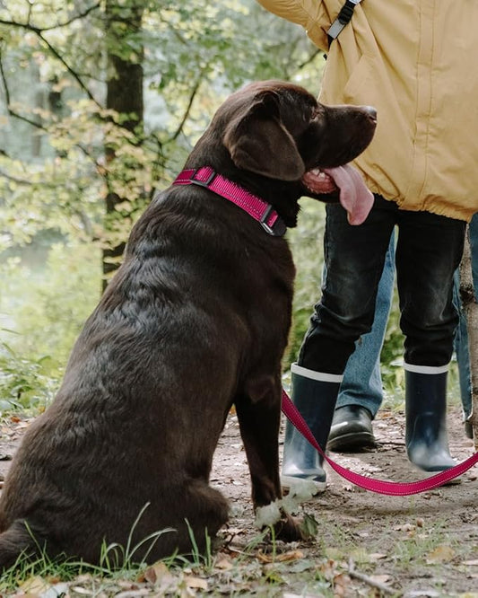 TagME Reflective Nylon Dog Collars, Adjustable Classic Pet Collar with Quick Release Buckle for Large Dogs, Hot Pink, 1.0" Width