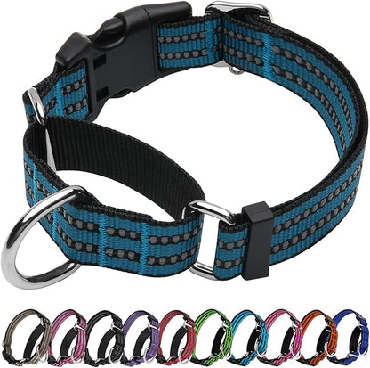 Martingale Dog Collar, Adjustable Nylon Reflective Collar with Quick Release Buckle (Gentian Blue, Small)