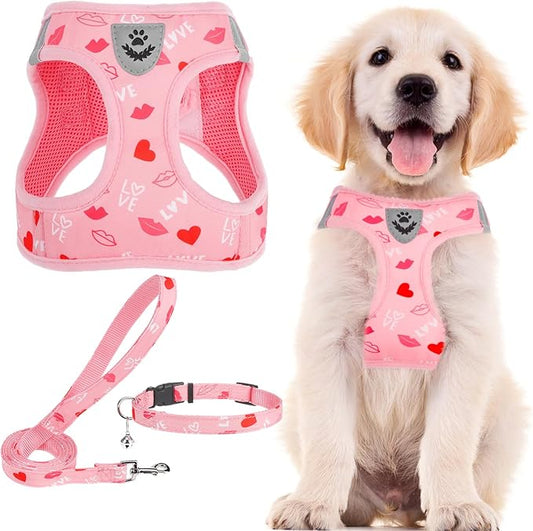 PUPTECK Adjustable Dog Harness Collar and Leash Set Step in No Pull Pet Harness for Small Medium Dogs Puppy and Cats Outdoor Walking Running, Soft Mesh Padded Reflective Vest Pink Red Heart Harnesses