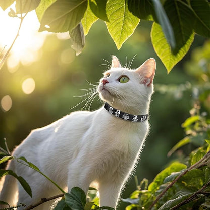 EXPAWLORER Leather Cat Collar for Girl Boy- Adjustable Pet Collar with Safety Elastic Belt,Personalized Punk Accessories Buckle Collars with Bell & Durable D-Ring, Skull(Black)