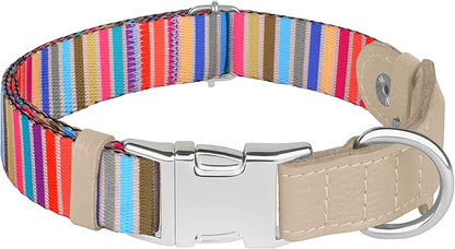 AirTag Dog Collar for Small Medium Large Breed - Adjustable Cute Pattern Dog Collar with Airtag Holder - Soft Leather Tracker GPS Apple Air Tag Pet Collars (Small, 12"-15" Neck Fit, Serape)