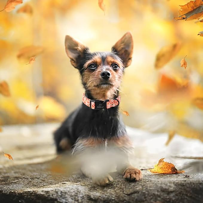 Fall Dog Collar, Cute Football Pattern Puppy Collar, Orange Adjustable Cotton Holiday Tanksgiving Dog Collars for Small Medium Large Boy&Girl Dogs XS