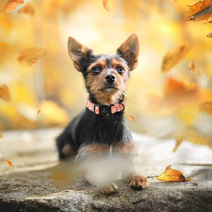 Fall Dog Collar, Cute Football Pattern Puppy Collar, Orange Adjustable Cotton Holiday Tanksgiving Dog Collars for Small Medium Large Boy&Girl Dogs XS