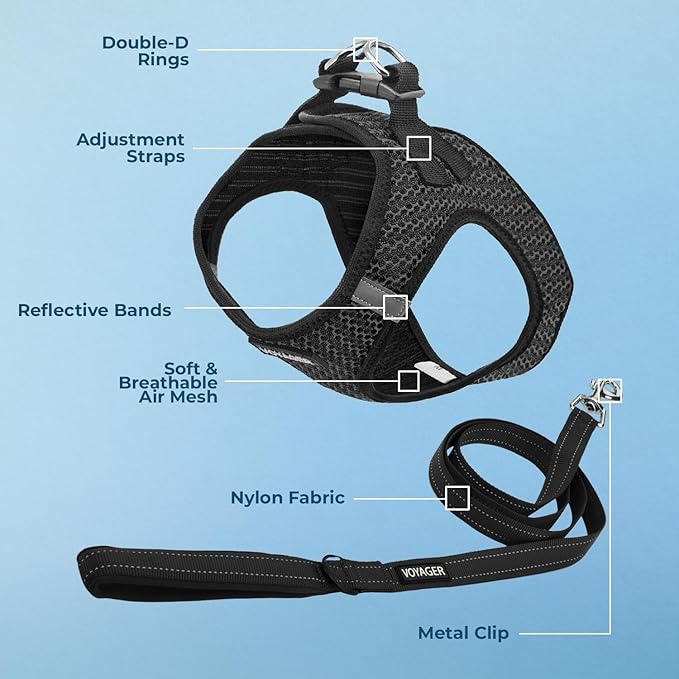 Best Pet Supplies Voyager Step-in Air All Weather Mesh Harness and Reflective Dog 5 ft Leash Combo with Neoprene Handle, for Small, Medium and Large Breed Puppies - Gray (2-Tone), XS