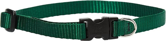 LupinePet Basics 1/2" Green 10-16" Adjustable Collar for Small Dogs