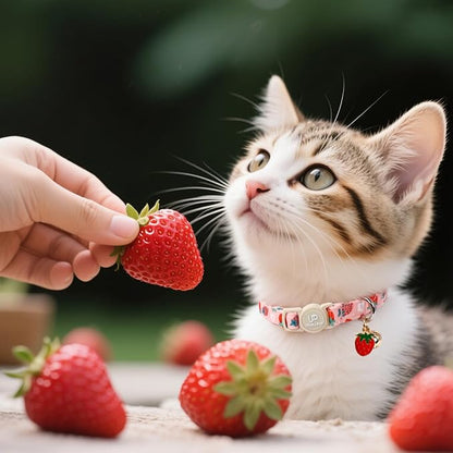 Cat Collar, 2Pack Summer Kitten Collars-Cute Lime and Strawberry Pendants-Breakaway Kitty Collars,Cat Collar with Bell, for Girl & Boy Cats
