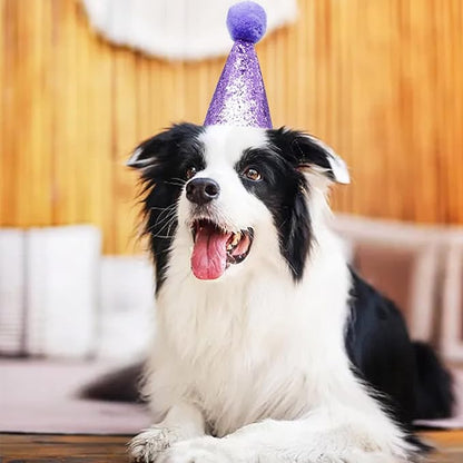 PET SHOW 5 Pack Small Dog Birthday Hats Party Hats for Medium Dogs Cats Adjustable Holiday Hats Headband Hats Pet Grooming Costume Accessories