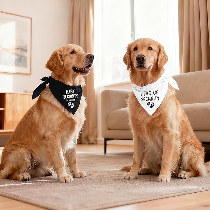 2 Pack Dog Bandana Pregnancy Announcement, Baby Security in Training and Head of Security Gender Reveal Puppy Dog Scarf Accessories, Adjustable Pet Bandana Scarf for Small Medium Large Dogs