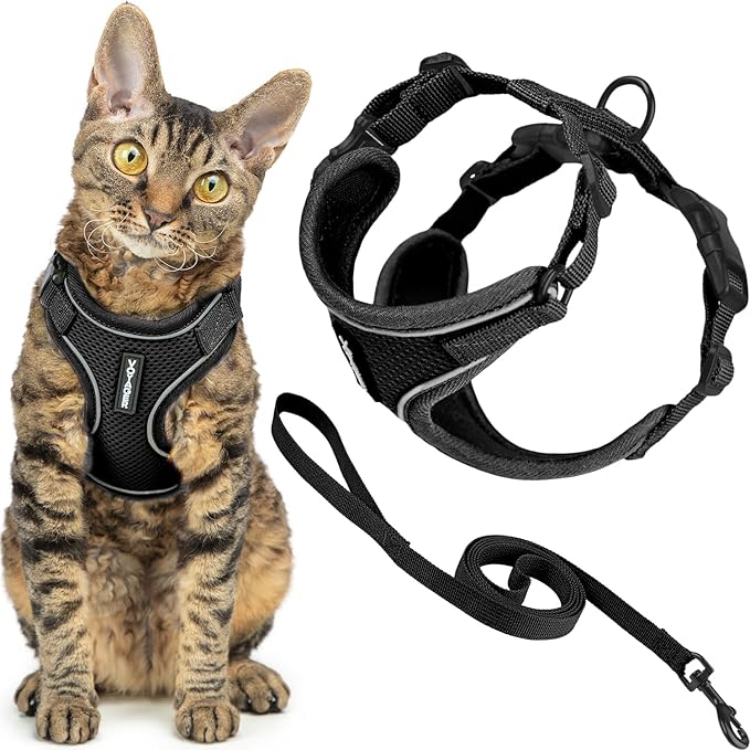 Voyager Escape-Proof Step-in Lock Cat Harness & 5ft Neoprene-Handle Leash Set All-Weather Mesh with Reflective Stitching for Small to Large Cats by Best Pet Supplies, Black (327), S