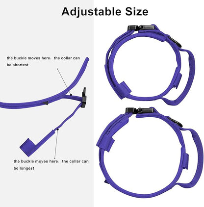 DAGANXI Tactical Dog Collar, Adjustable Military Training Nylon Dog Collar with Control Handle and Heavy Metal Buckle for Medium and Large Dogs, with Patches and Airtags Case (Purple, M)