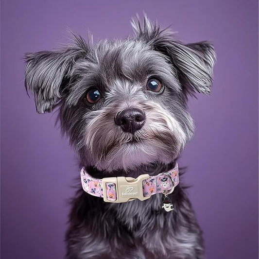 Halloween Dog Collar Cute Wizard Ghost Puppy Collar - Light Comfortable Adjustable Pet Collars for Small Medium Large Girl Boy Dogs S