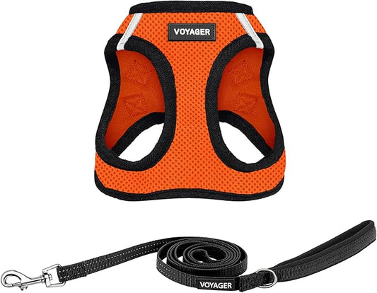 Best Pet Supplies Voyager Step-in Air All Weather Mesh Harness and Reflective Dog 5 ft Leash Combo with Neoprene Handle, for Small, Medium and Large Breed Puppies - Orange/Black Trim, Small