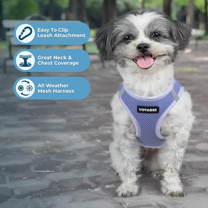 Best Pet Supplies Voyager Step-in Air Harness - All Weather Mesh, Reflective, No Pull Harness for Dogs, Cats - Secure with Hook & Loop Fastener, Buckle, Double D-Rings - Lavender, S