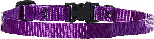 LupinePet Basics 1/2" Purple 10-16" Adjustable Collar for Small Dogs