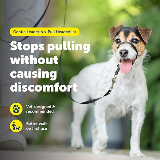 PetSafe Gentle Leader Headcollar No-Pull Dog Collar - Helps Improve Walks - Durable Nylon Construction - Padded Nose Loop - Adjustable Fit - Comfort Walking Halter - Small, Black