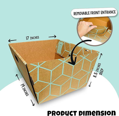 Tallest Disposable Cat Litter Box 15 Trays 2 Trays Litter Box Low Entry Original Patented Indentical Design19 Lx17 Wx8.5 17 in. Closed Box. Woman Lifelong Cat Care Sassy Uses Daily 14 yrs Made-US
