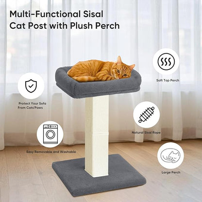 AGYM Cat Scratching Post, 32”Cat Scratcher with Large Plush Perch, Sisal & Carpet Scratching Post, Vertical Posts with Elevated Bed for Indoor Cats, Removable& Washable Cover, Grey