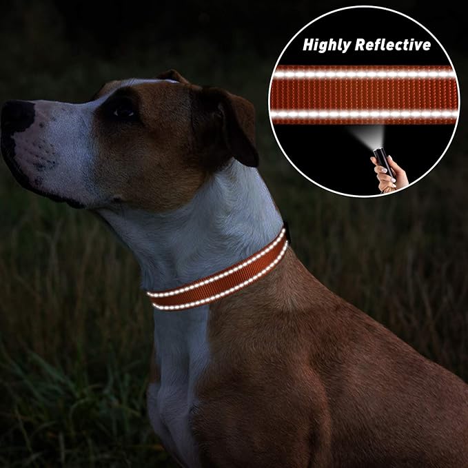 TagME Reflective Nylon Dog Collars, Adjustable Classic Pet Collar with Quick Release Buckle for Extra Large Dogs, Orange, 1¼" Width
