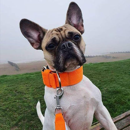 Heavy Duty Tactical Dog Collar - 1.5" Width Military Durable Thick Nylon with Adjustable Metal D Ring & Buckle Working Training K9 Collar for Medium Large Dogs (L(20"-23"), Orange)