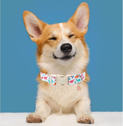Summer Dog Collar, Adorable Dinosaur Cotton Dog Collar with Quick Release, Gift Dino Collars for Small Medium Large Boys Dogs Cute Durable Comfortable Pet Collars