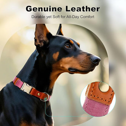 Plutus Pet Genuine Leather & Hemp Dog Collar – Adjustable Heavy Duty Pet Collar with Quick Release Metal Buckle, Soft & Stylish for Puppy and Small, Medium, Large Dogs (Pink, M)