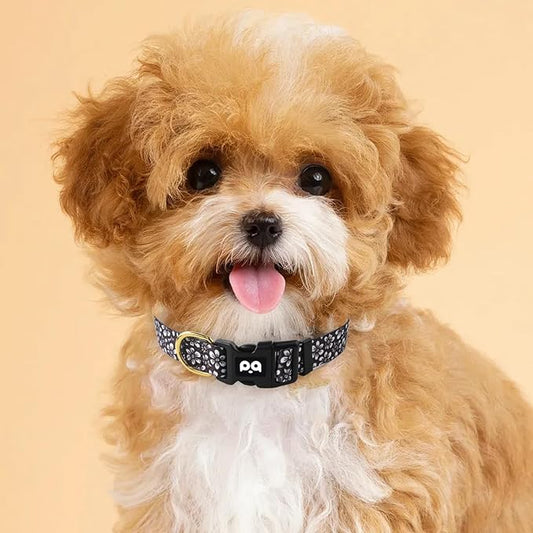 QQPETS Adjustable Soft Dog Collar: Print Flower Pink Multicolor Cute Patterns for XS Small Medium Large Pet Girl Boy Puppy Walking Running Training
