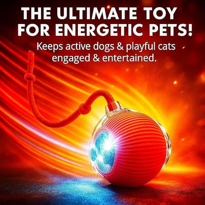 Interactive Electric Automatic Rolling Moving Rechargeable Self Play Stimulation Toy,Smart Pet Chase with Speedy Tail Rope for Bored Indoor Cats (Purple)