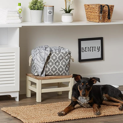 Bone Dry Pet Storage Collection Lattice Paw Print, Gray, Small Rectangle