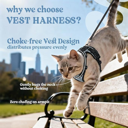 rabbitgoo Cat Harness and Leash for Walking, Escape Proof Soft Adjustable Vest Harnesses for Cats, Easy Control Breathable Reflective Strips Jacket, Doodle Gray,XXS