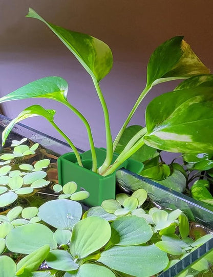 4 Pk Upgraded Aquarium Plant Holder, 3-Hole Hanging Plant Holder with Clip, Suitable for Fish Tank Potting, Aquarium Decoration, Green