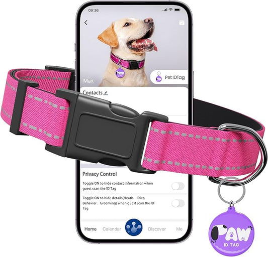 Reflective Dog Collar for Small Dogs with Dog Tags Personalized & Quick Release Buckle, Adjustable and Comfortable Nylon Pet Collar, Hot Pink