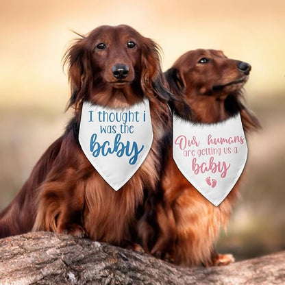 2 Packs Baby Announcement Dog Bandana Our Humans are Getting Us a Baby Gender Reveal Pet Dog Triangle Scarf Accessories Pregnancy Announcement for Small Medium Large Dogs Cats