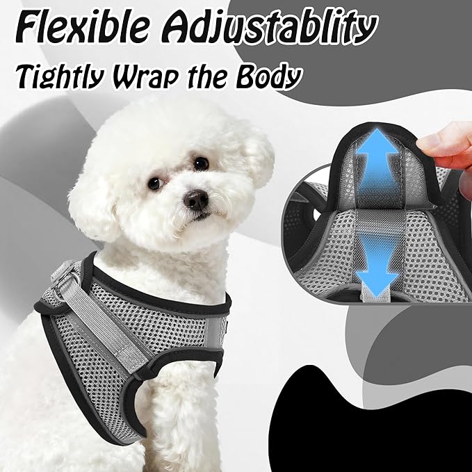 AIITLE Comfortable Dog Harness and Leash Set for Walking - Step in Vest Harness,Reflective Bands, Adjustable No Pull Puppy Essentials, for Small Dogs and House Cats Black XS