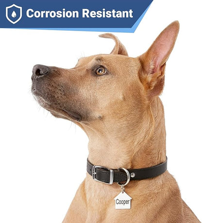 GoTags Stainless Steel Pet ID Tags, Personalized Dog Tags and Cat Tags, up to 8 Lines of Custom Text, Engraved on Both Sides, in Bone, Round, Heart, Bowtie and More (House, Regular (Pack of 1))