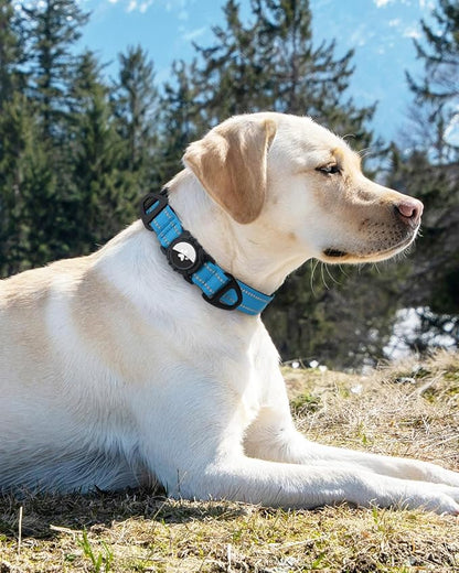 Joytale Airtag Dog Collar, Reflective Pet Collar with Waterproof AirTag Holder, Dual D-Rings, Soft Padded Adjustable for Large Dogs, SkyBlue, L