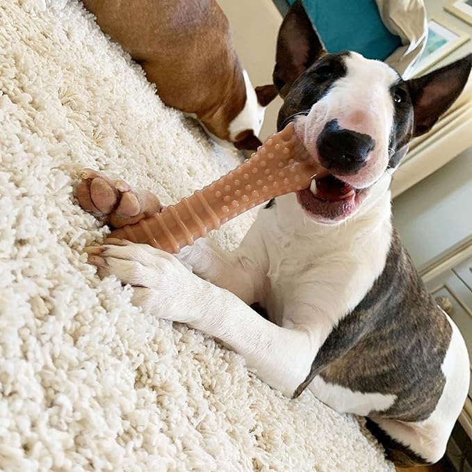 Nylabone Textured Knuckle Bone Power Chew Toy for Dogs, Durable & Tough Dog Toys for Aggressive Chewers, Original & Bacon Flavor, X-Large - 50+ lbs, 2 Pack