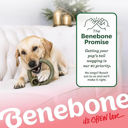 Benebone Peppermint Ring – Limited Edition Holiday Flavor, Durable Chew Toy for Aggressive Chewers, Made in USA, Small