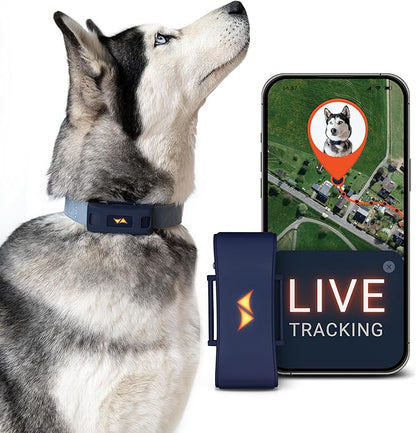 PAJ GPS Dog Tracker - 4G Real-Time Tracking & Runaway Alerts - Waterproof, Long-Range, Smart App Monitor Health & Activity - Fits Any Collar, Mini Device Navigator Chip - Subscription Required - Blue