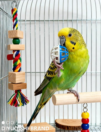 23-Pack Bird Toys for Parrots – Natural Rattan & Plastic Bell Balls – Safe, Fun Cage Decor & Foot Exercise (1.6'' - 2.8'')
