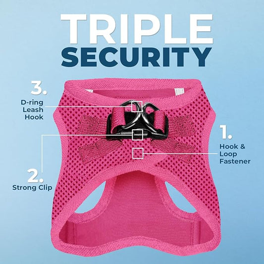Best Pet Supplies Voyager Step-in Air All Weather Mesh Harness and Reflective Dog 5 ft Leash Combo with Neoprene Handle, for Small, Medium and Large Breed Puppies - Set (Fuchsia), S