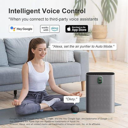 MORENTO Air Purifier for home Large Rooms up to 1076 ft2, Wi-Fi and Alexa compatible, PM2.5 Air Quality Display, Auto Mode, HEPA Filter Removes Dust, Pollen, Smoke 1 Pack +2 Pack Filters(Gray)