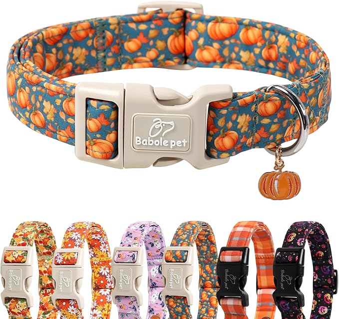 Fall Dog Collar Cute Autumn Pumpkin Puppy Collar - Light Comfortable Adjustable Pet Collars for Small Medium Large Girl Boy Dogs M