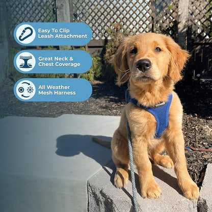Best Pet Supplies Voyager Step-in Air Harness - All Weather Mesh, Reflective, No Pull Harness for Dogs, Cats - Secure with Hook & Loop Fastener, Buckle, Double D-Rings - Royal Blue, M