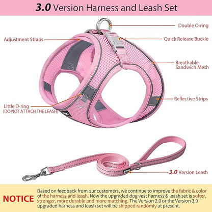 AIITLE Step in Dog Harness and Leash Set - No Pull Escape Proof Vest Harnesses with Soft Mesh and Reflective Bands, Adjustable Pet Outdoor Harnesses for Small and Medium Dogs Pure Pink M