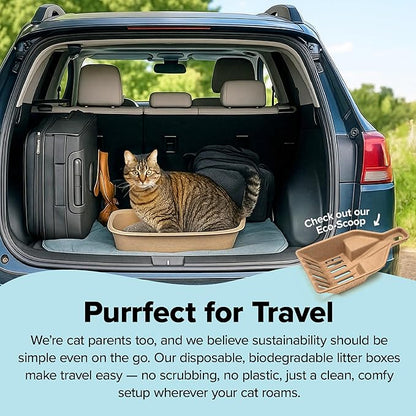 Kitty Sift (Set of 1 Litter Box & 5 Sifting Liners) Disposable Sifting Cat Litter Box Large, 6 Count, Durable and Portable for Travel and Home Odor Control