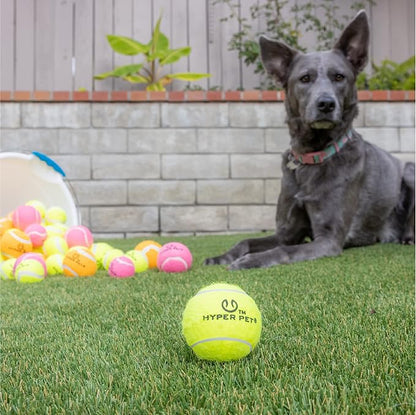 Hyper Pet Tennis Balls for Dogs, Pet Safe Dog Toys for Exercise and Training, Pack of 4, Green