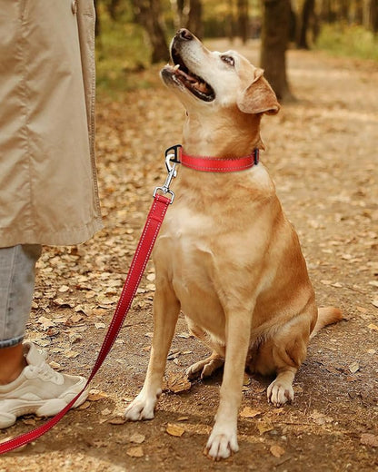 TagME Reflective Nylon Dog Collars, Adjustable Classic Pet Collar with Quick Release Buckle for Large Dogs, Red, 1.0" Width